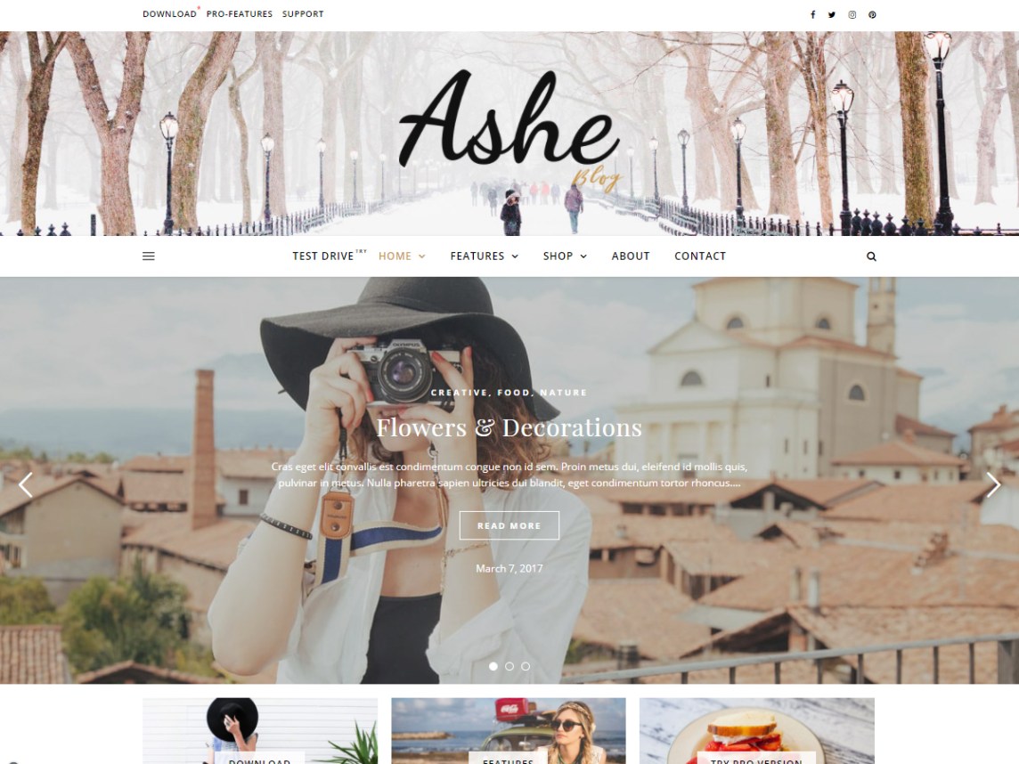 Ashe is a clean and modern WordPress blog theme